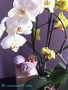 11231978_10206719131327796_332904277_o