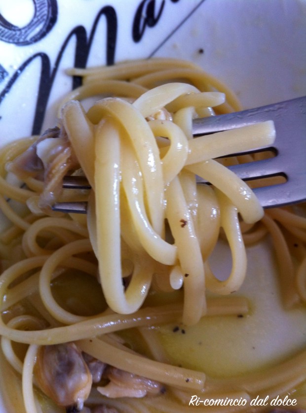 11639534_10206920541242918_496584169_o